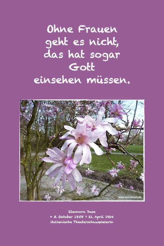 Get Kalendersprueche 2019 For Android Kalendersprueche 2019