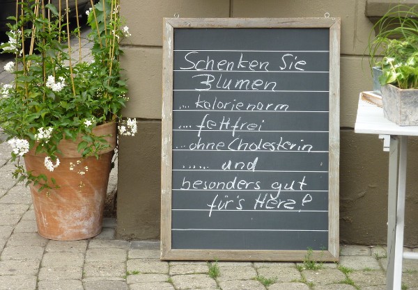Blumen; c/o Sylvia Koch Blumen; c/o Sylvia Koch