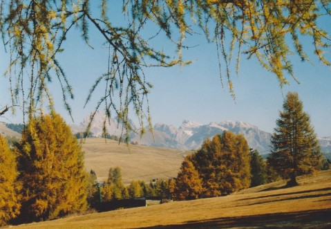 Herbstliche Seiser Alm; c/o Sylvia Koch